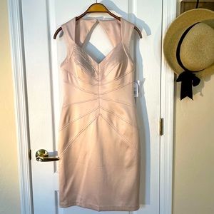 Gorgeous Jessica Simpson Zip-Up Bodycon